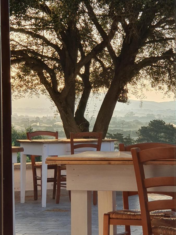 Alojamento de Acomodação e Pequeno-almoço Nacchinono Olbia